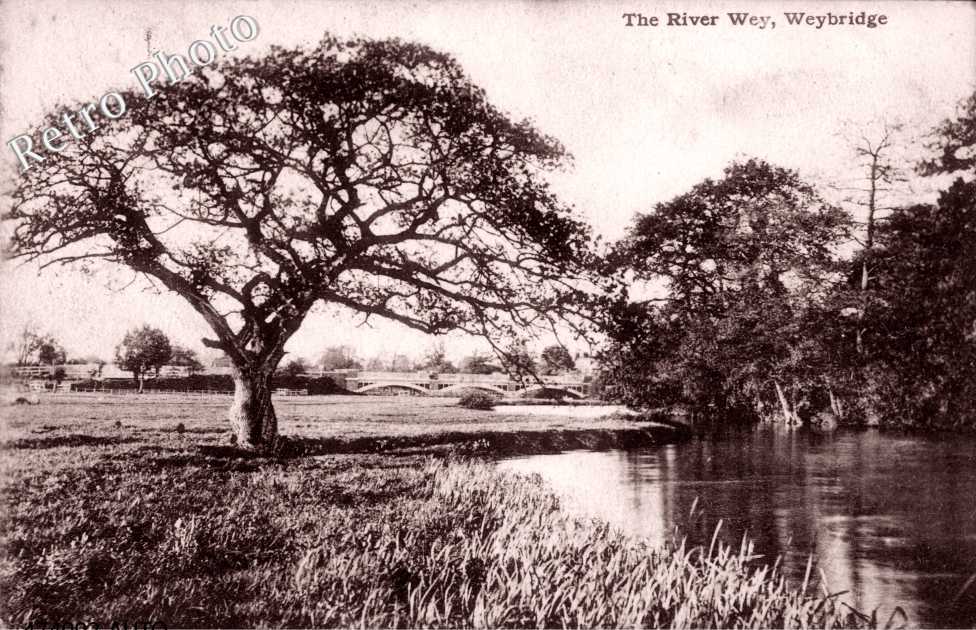 the River Wey