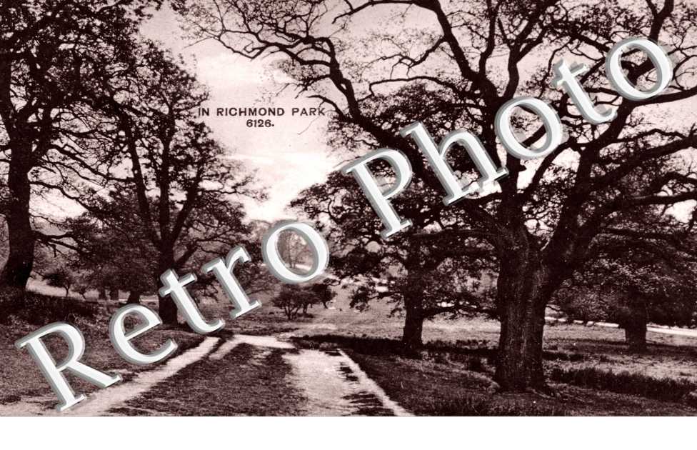 In Richmond Park