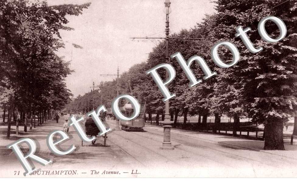 the Avenue