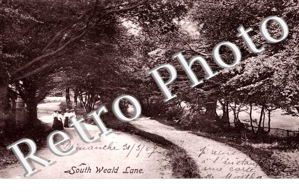 South Weald Lane