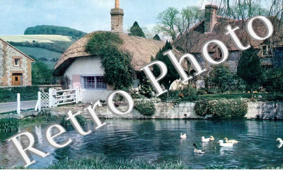 a Village pond