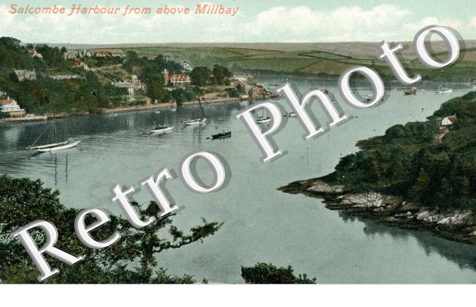 Salcombe Harbour from above Millbay