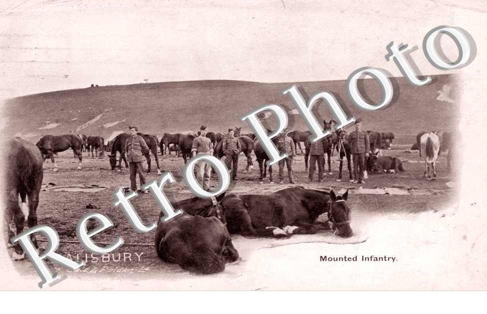 Mounted Infantry