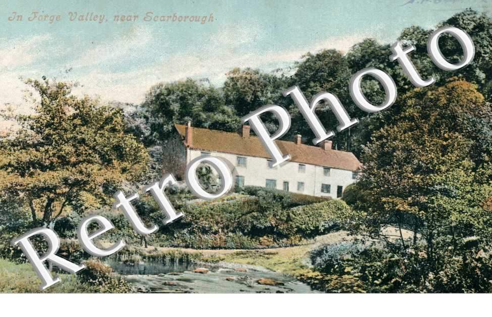 the Forge Valley