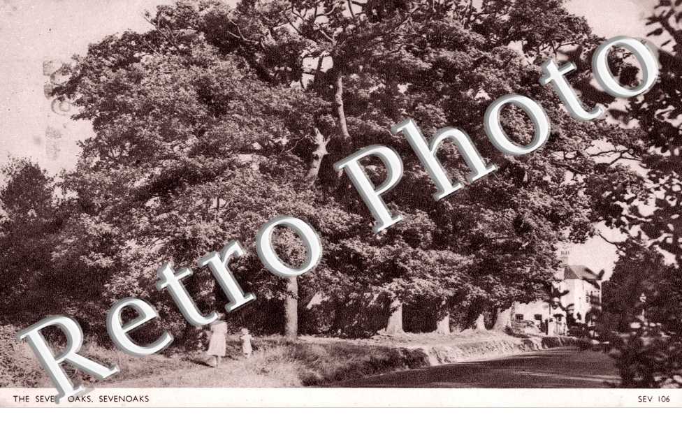 the Seven Oaks