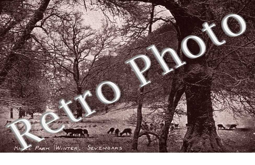 Knole Park