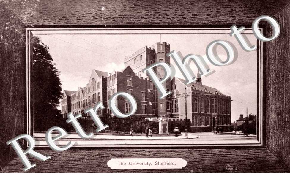 the University