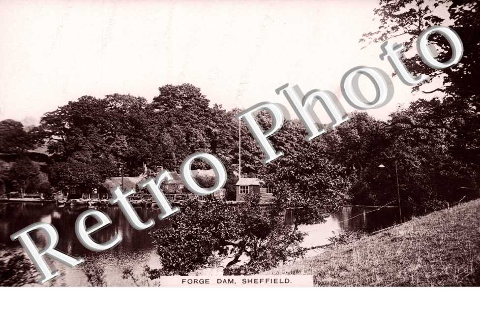 Forge Dam