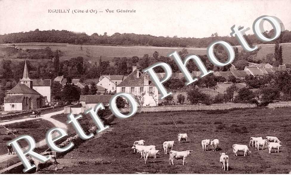 Vue Generale