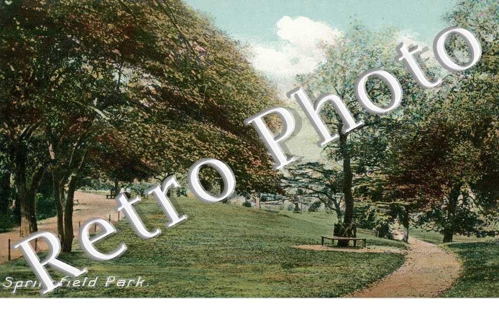 Springfield Park