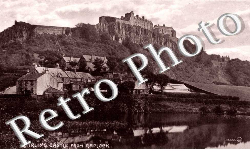 Stirling Castle from Raplock