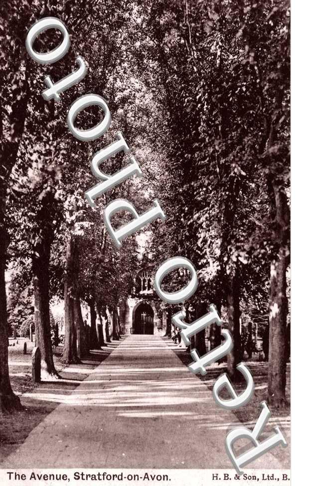 the Avenue