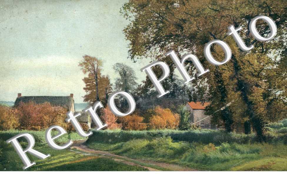 the Countryside