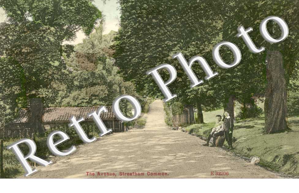 the Avenue, Streatham Common