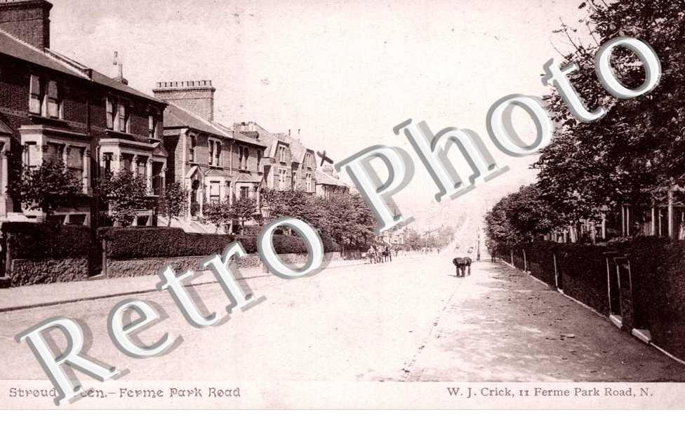 Ferme Park Road