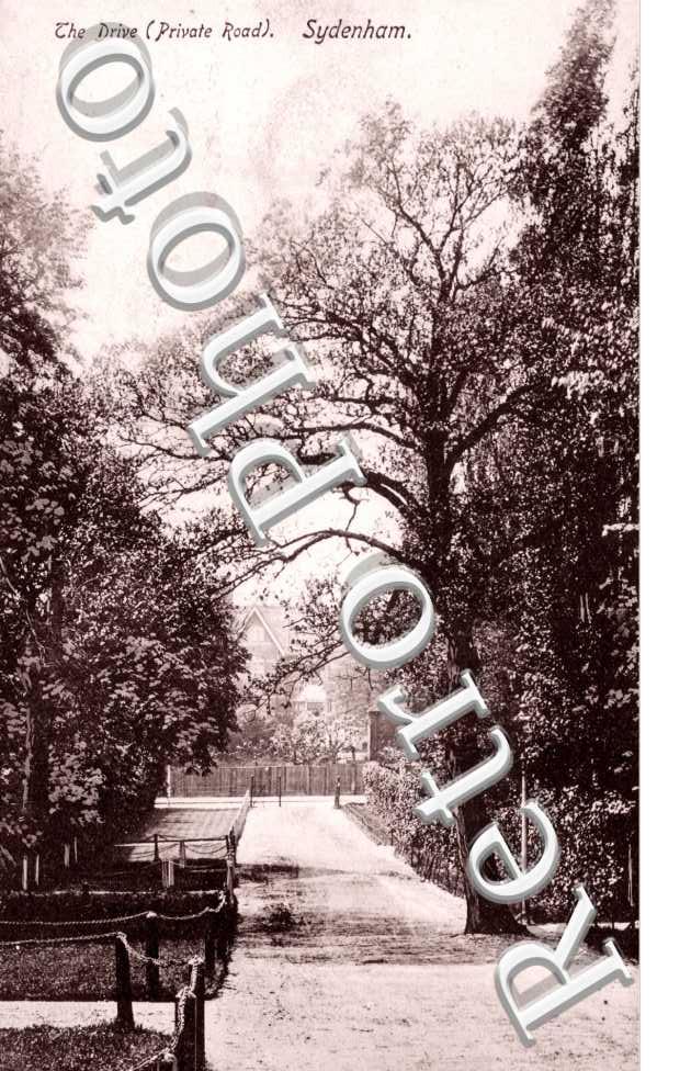 the Drive (Private Road)