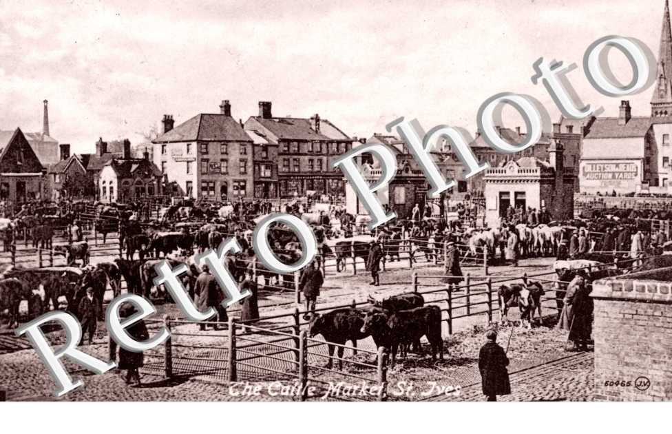 the Cattle Market
