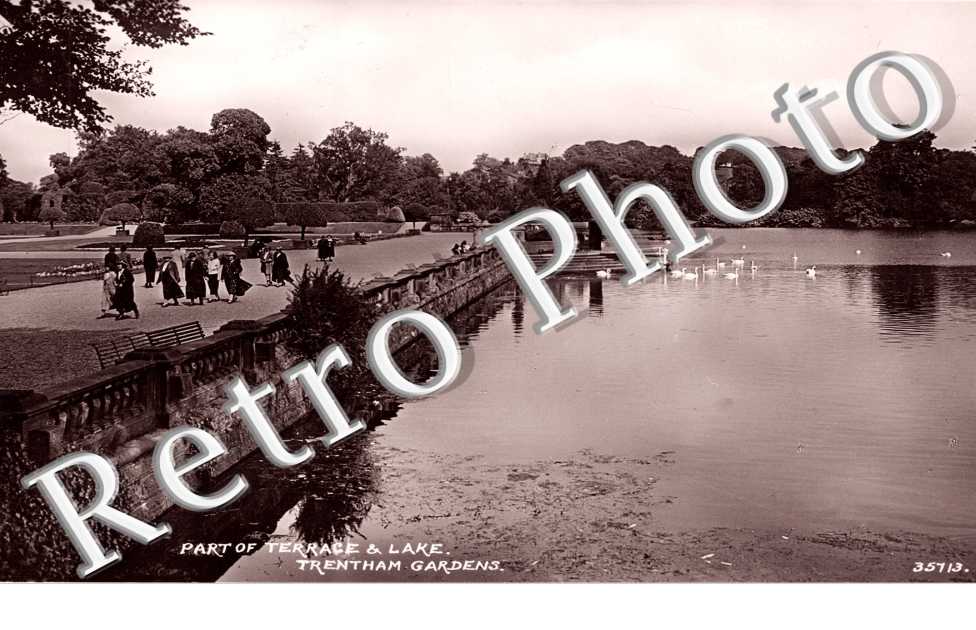 Part of Terrace and Lake