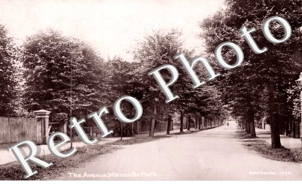 the Avenue