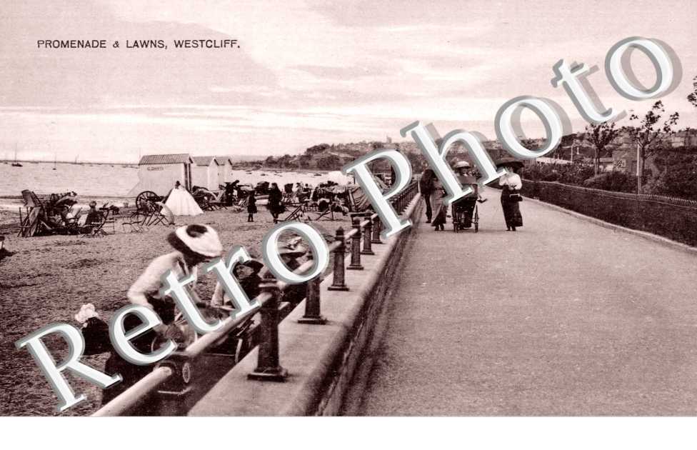 Promenade and Lawns