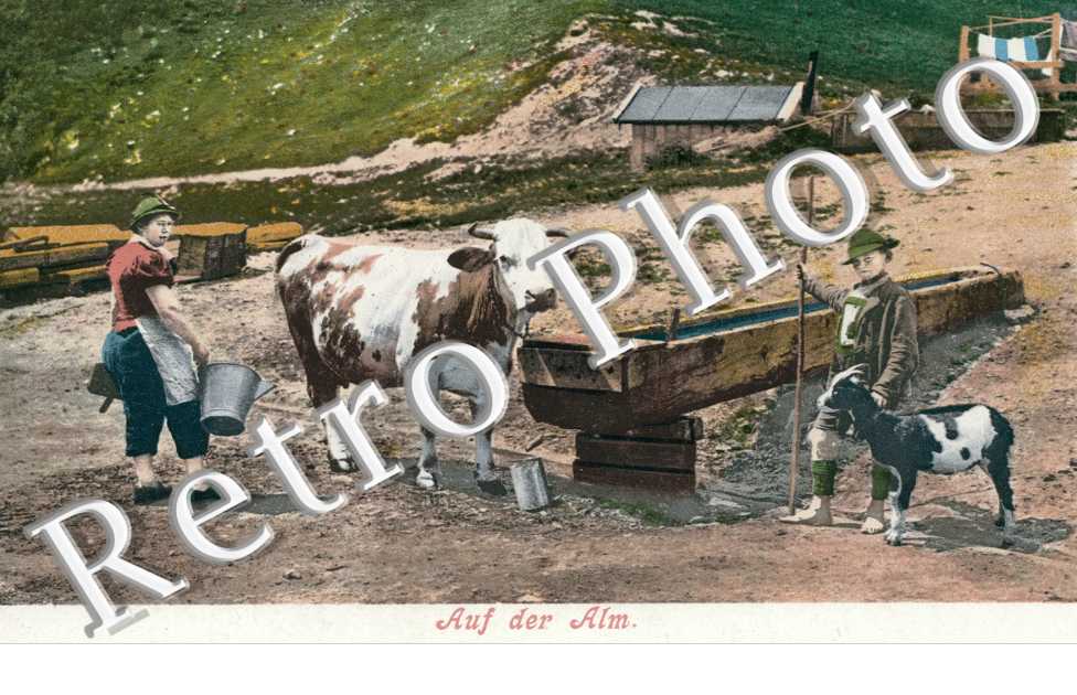 Auf der Alm