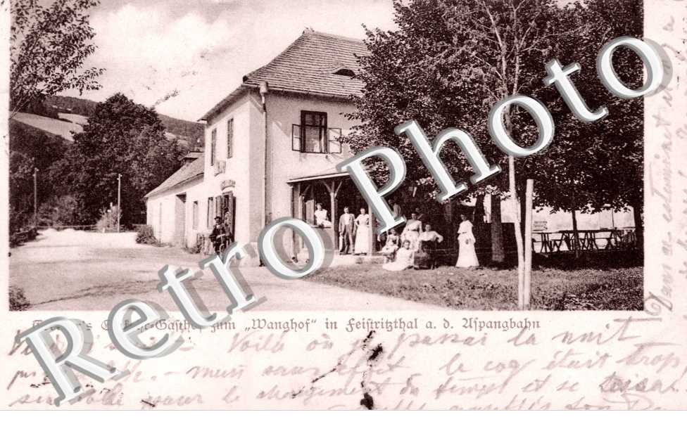 Treitter's Einfehr-Bahnhof zum "Wanghof" in Feiftritzthal an der Ufpangbahn