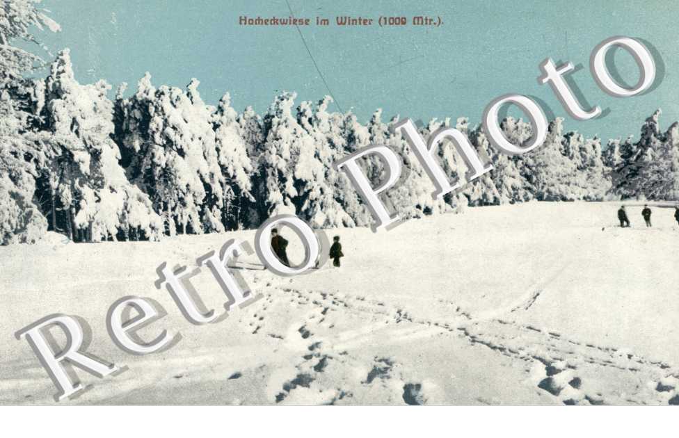Harheckwiese im Winter