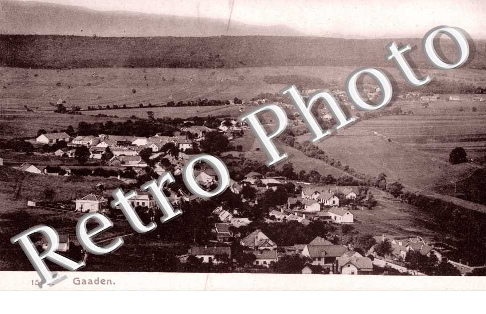 Vue Panoramique