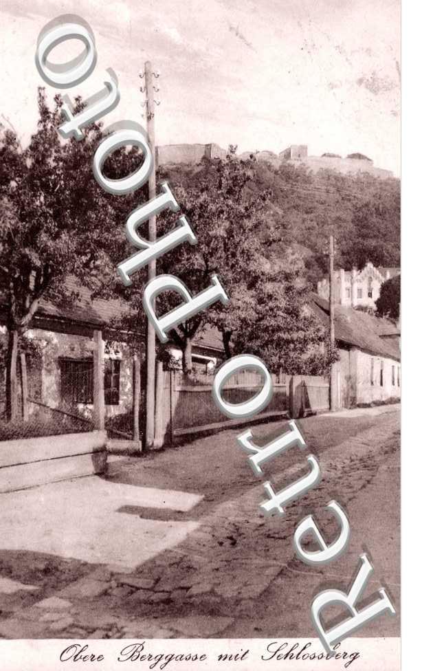 Obere Berggrasse mit Schlossberg