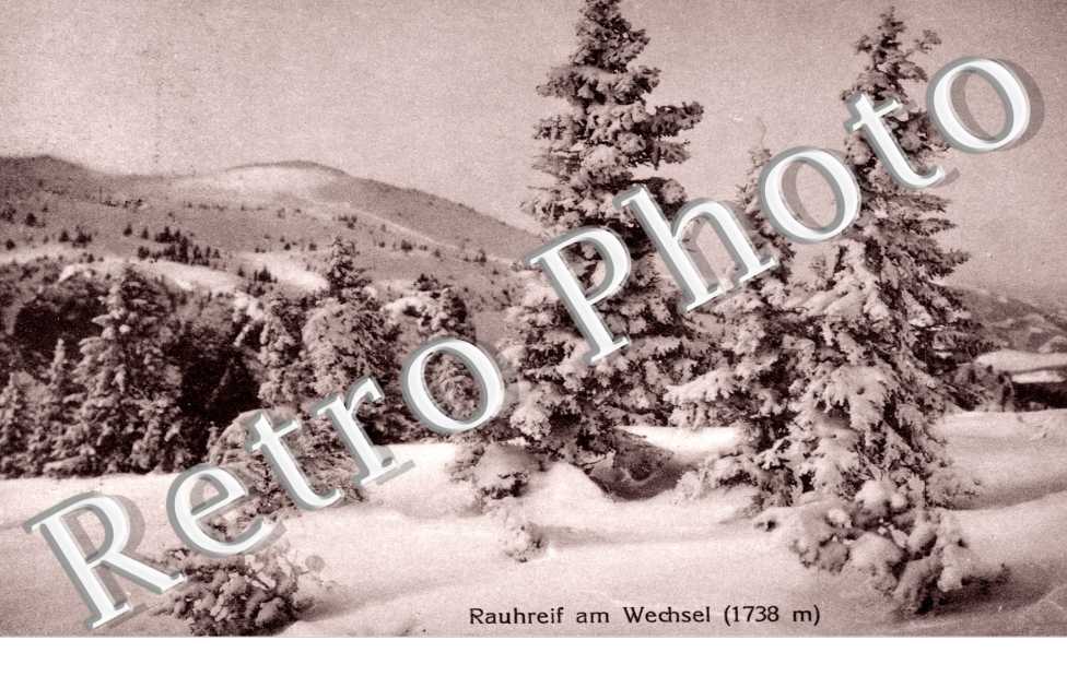 Rauhreif am Wechsel