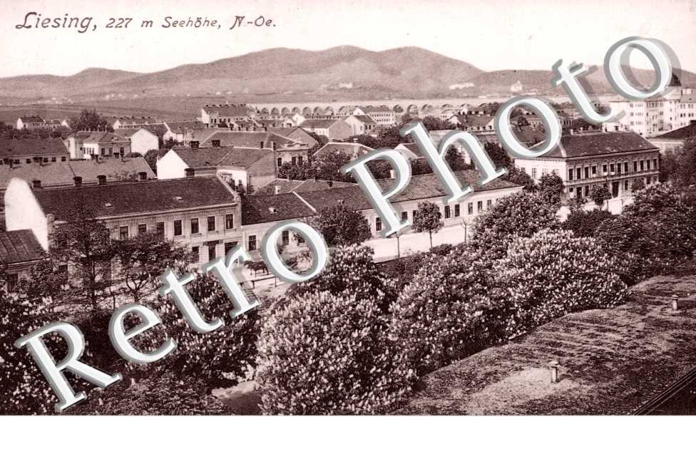 Vue Panoramique