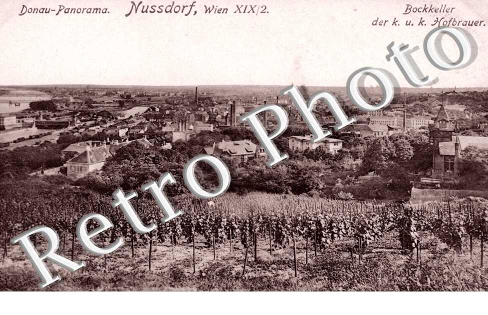 Donau Panorama