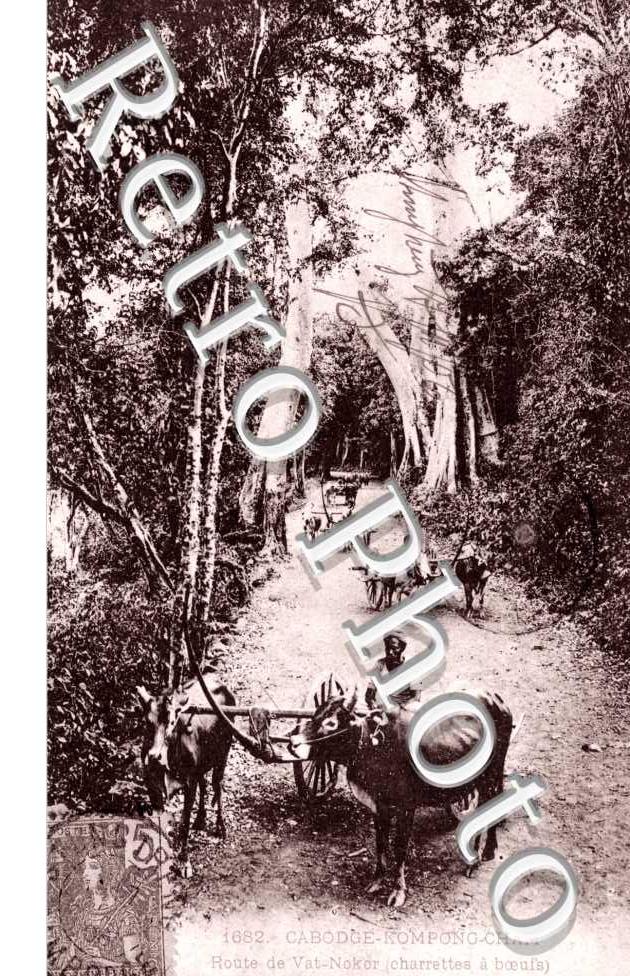 Route de Vat-Nokor, Charrettes a Boeufs