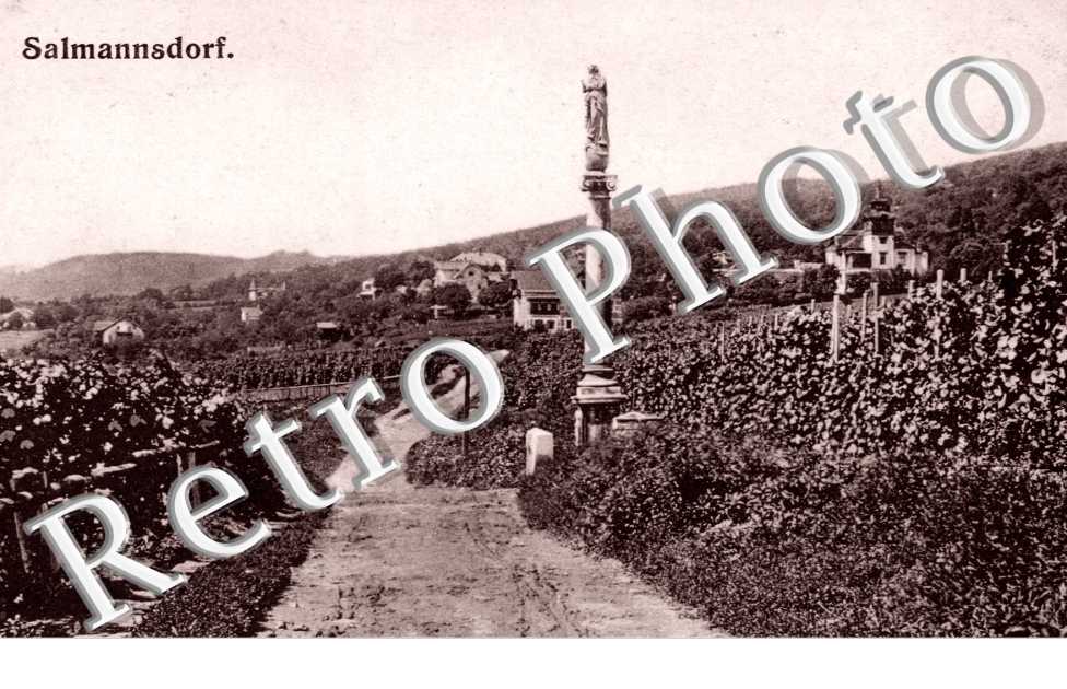 Chemin dans les vignes