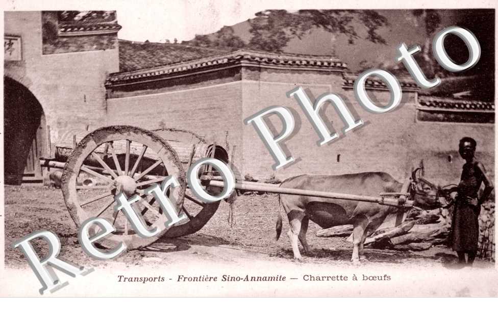 Frontiere Sino-Annamite, Charrette a boeufs