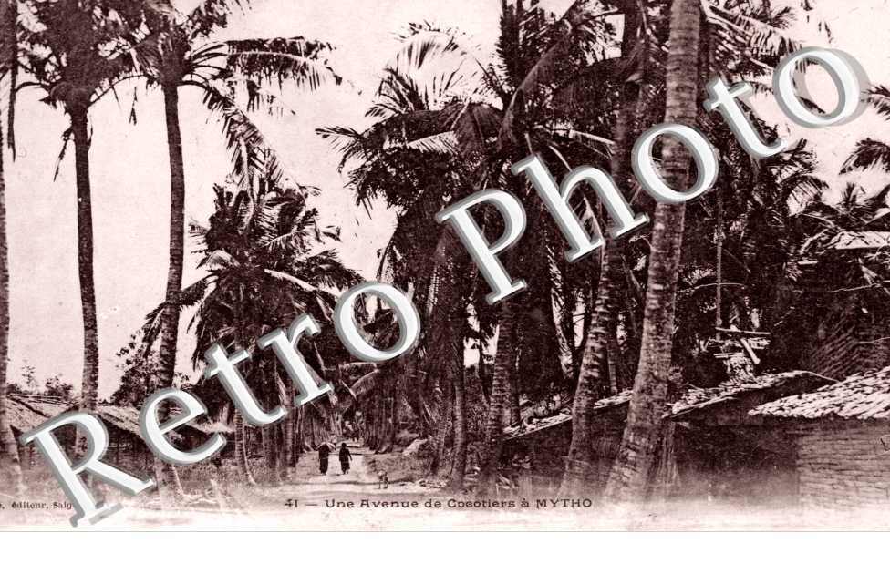 Une Avenue de Cocotiers