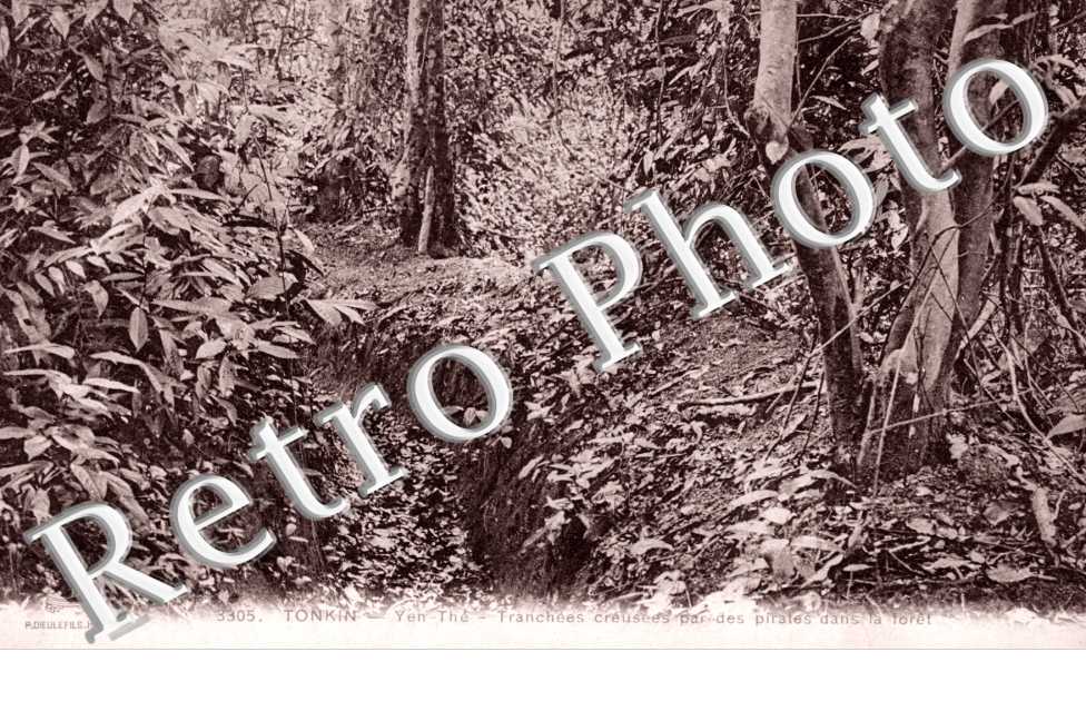 Tranchees creusees par des pirates dans la Foret