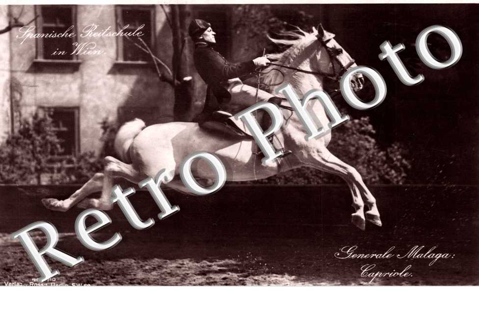 Spanische Reitschule in Wien, Generale Malaga Capriole