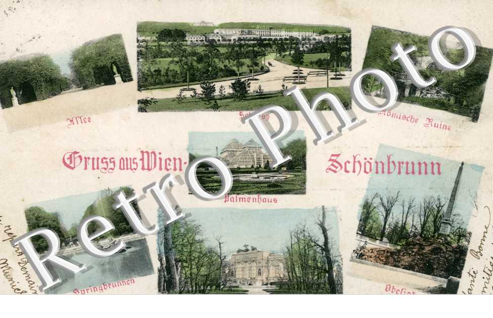 Carte multivues