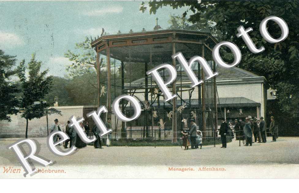 Schonbrunn, Menagerie