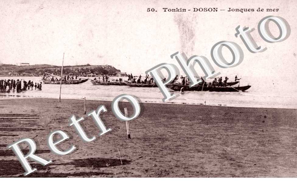 Jonques de Mer