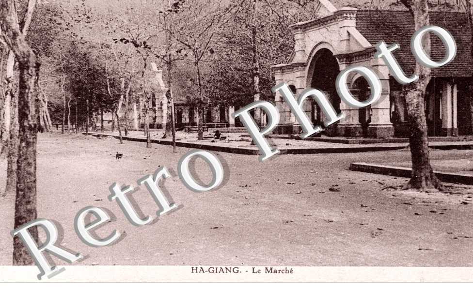 le Marche