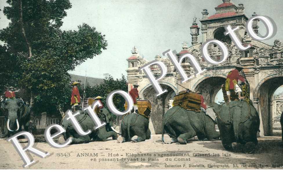 Annam, Elephants s'agenouillant faisant les lais en passant devant le Palais du Comat
