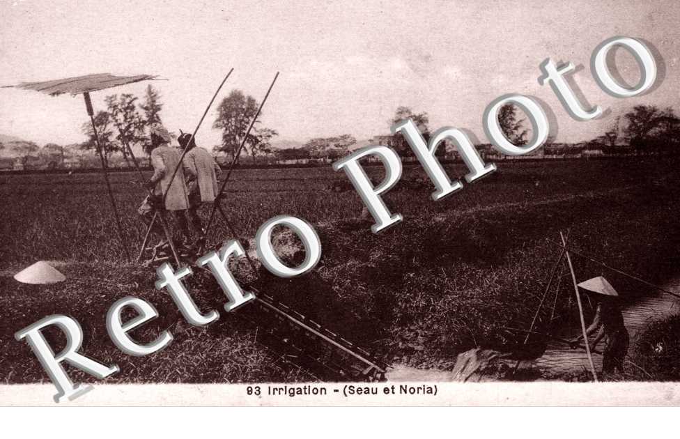 Annam, Irrigation, Seau et Noria