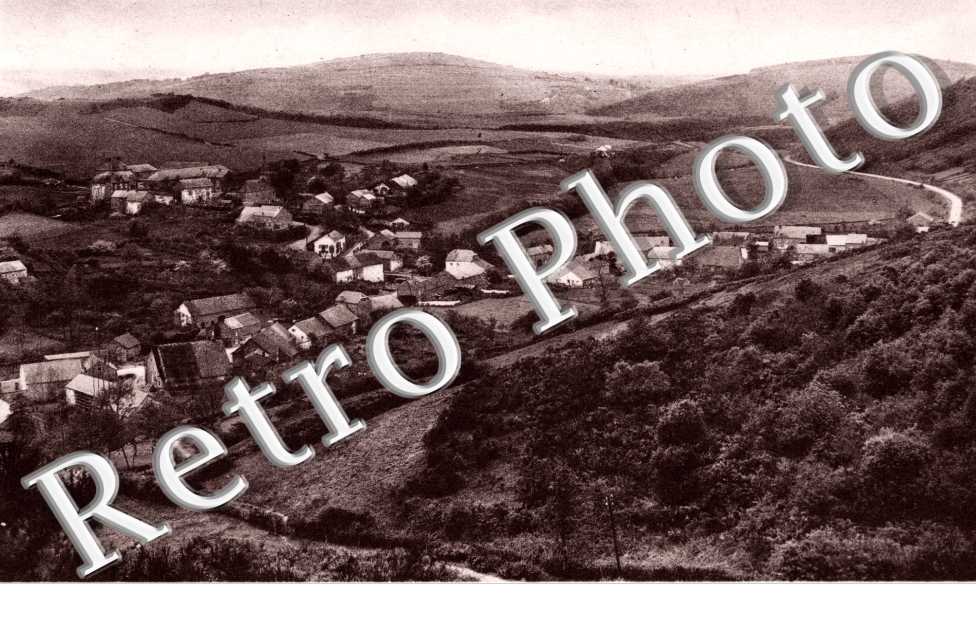 Vue Panoramique