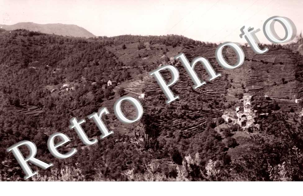 OREZZA, ERBAGGIO ET VERDESE, vue generale 