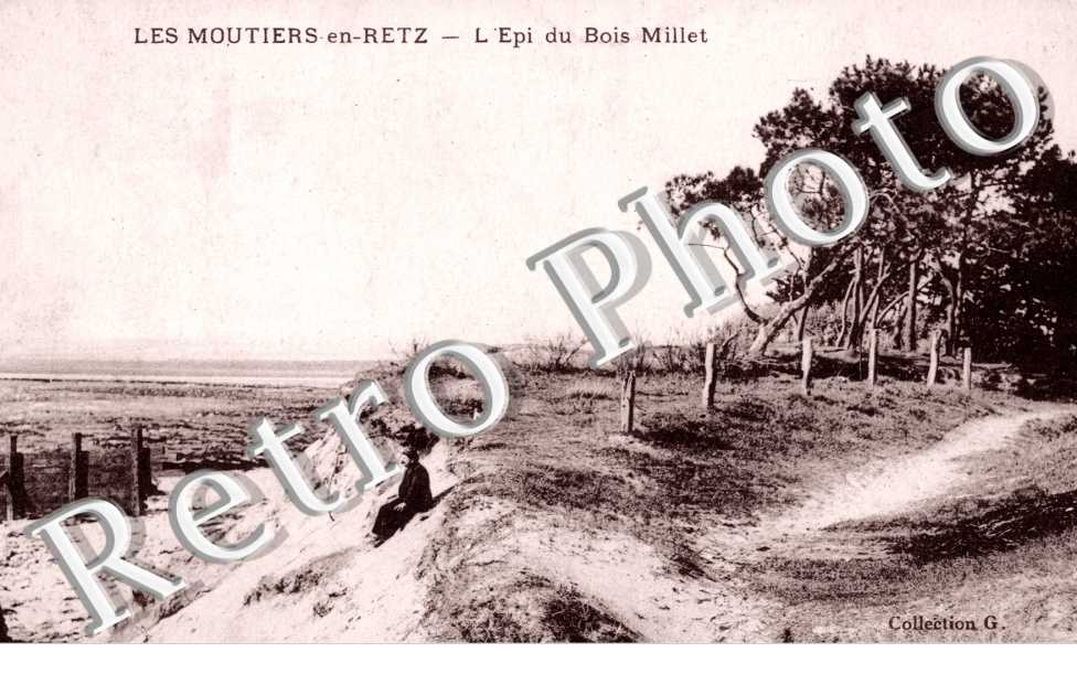 l&#039;Epi du Bois Millet