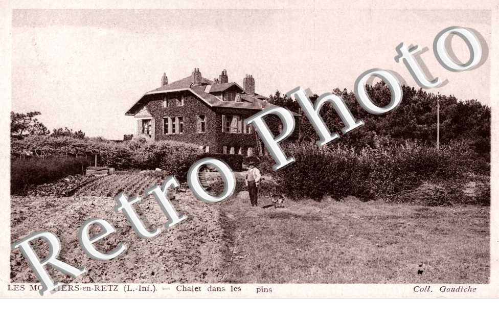 Chalet dans les Pins