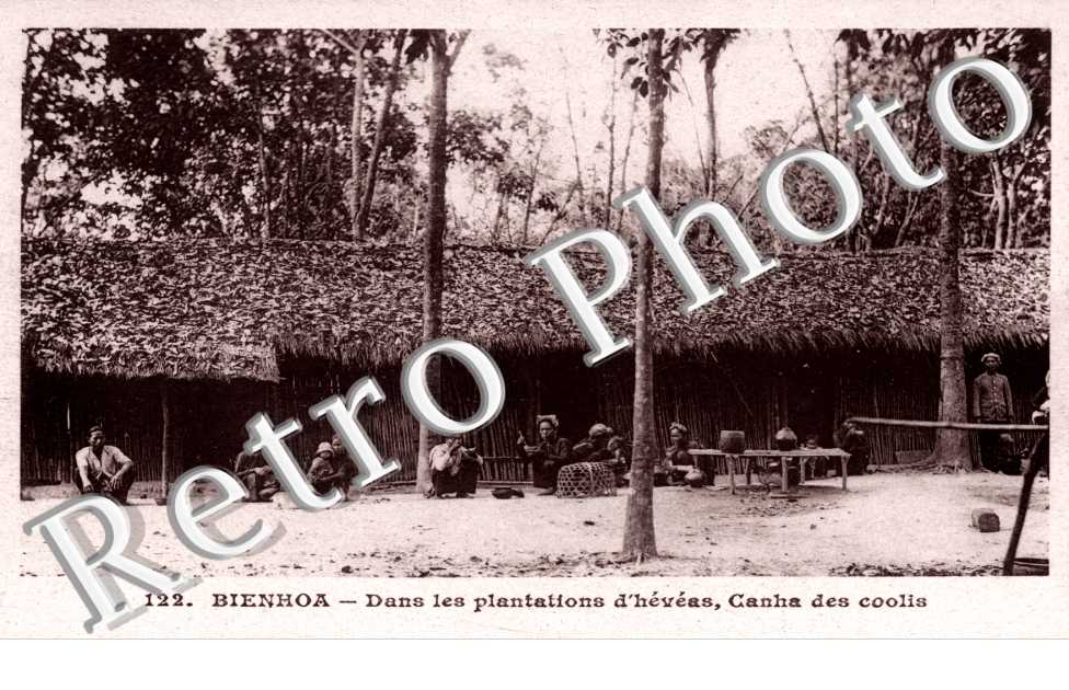 Dans les plantations d'Heveas, Canha des coolis