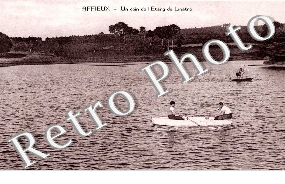 Un coin de l&#039;Etang de Linatre